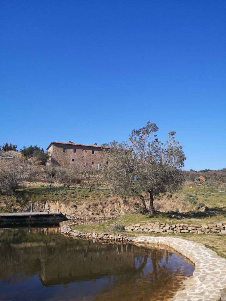 ritiro yoga reggioli